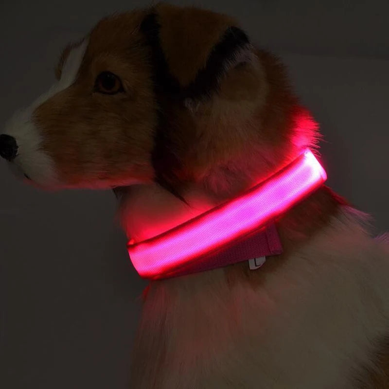 LumiPet™ LED Nylon Dog Collar & Leash Set – Elegant Glow-in-the-Dark Safety for Night Walks