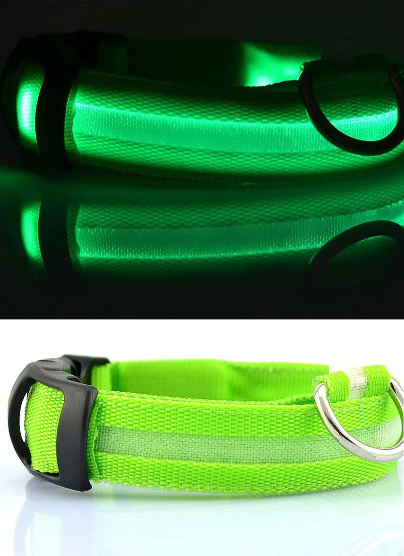 LumiPet™ LED Nylon Dog Collar & Leash Set – Elegant Glow-in-the-Dark Safety for Night Walks