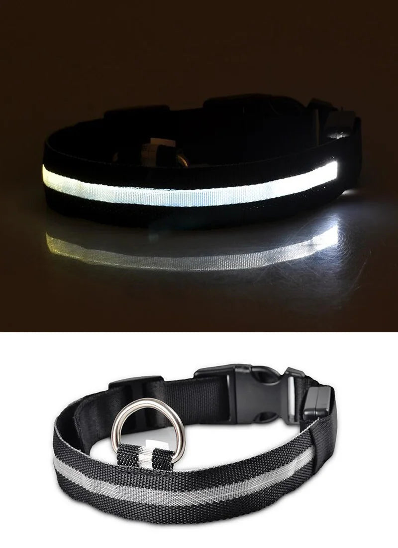 LumiPet™ LED Nylon Dog Collar & Leash Set – Elegant Glow-in-the-Dark Safety for Night Walks
