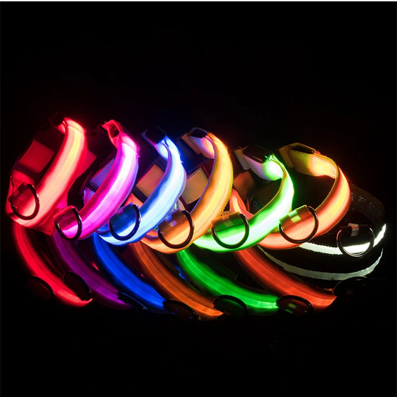 LumiPaw™ Luxe LED Pet Collar – USB Rechargeable, Adjustable & Radiantly Safe