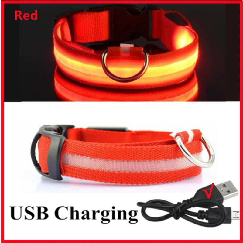 LumiPaw™ Luxe LED Pet Collar – USB Rechargeable, Adjustable & Radiantly Safe