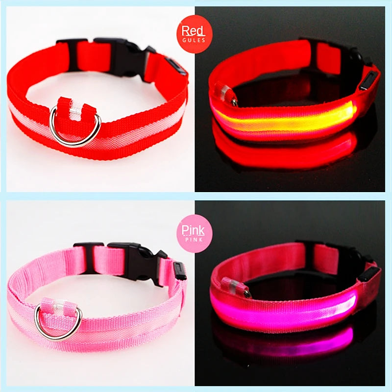 LumiPaw™ Luxe LED Pet Collar – USB Rechargeable, Adjustable & Radiantly Safe
