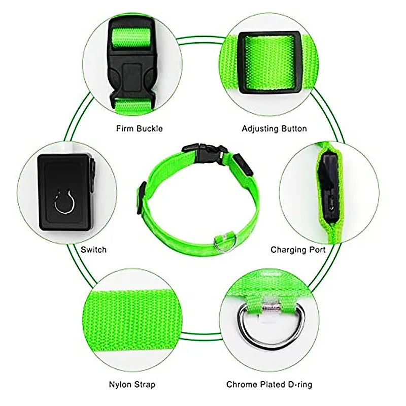 LumiPaw™ Luxe LED Pet Collar – USB Rechargeable, Adjustable & Radiantly Safe
