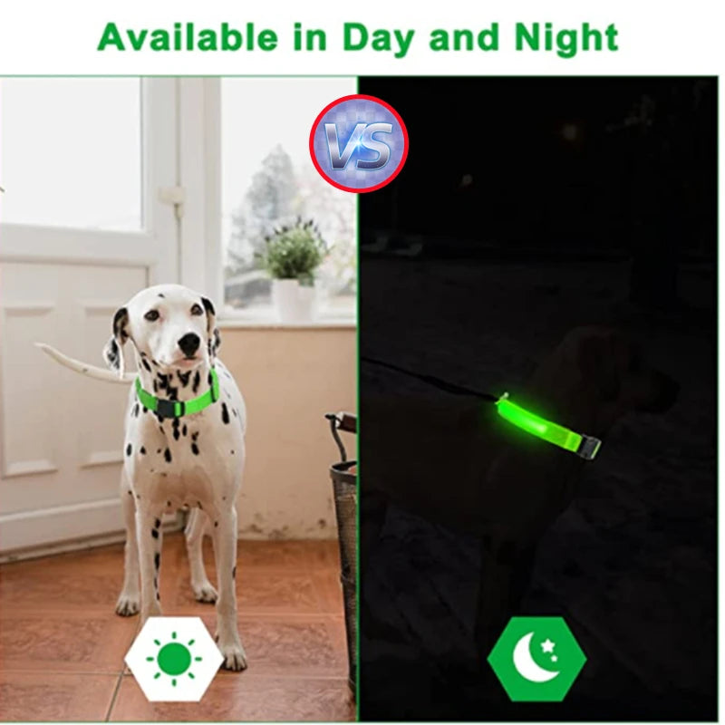 LumiPaw™ Luxe LED Pet Collar – USB Rechargeable, Adjustable & Radiantly Safe