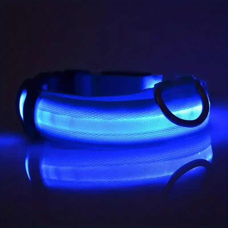 LumiStride™ Illuminated Pet Leash & Collar Set – Luxury Nylon LED Night Safety Duo
