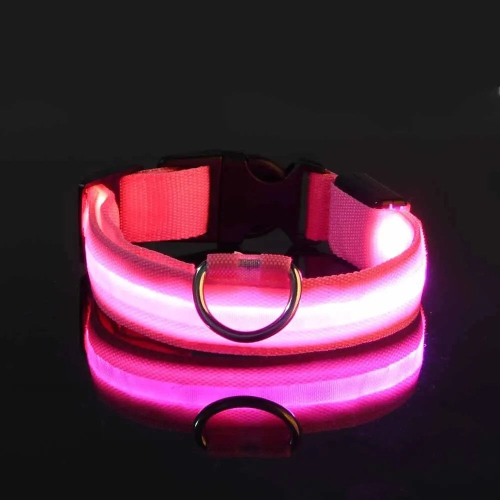 LumiStride™ Illuminated Pet Leash & Collar Set – Luxury Nylon LED Night Safety Duo