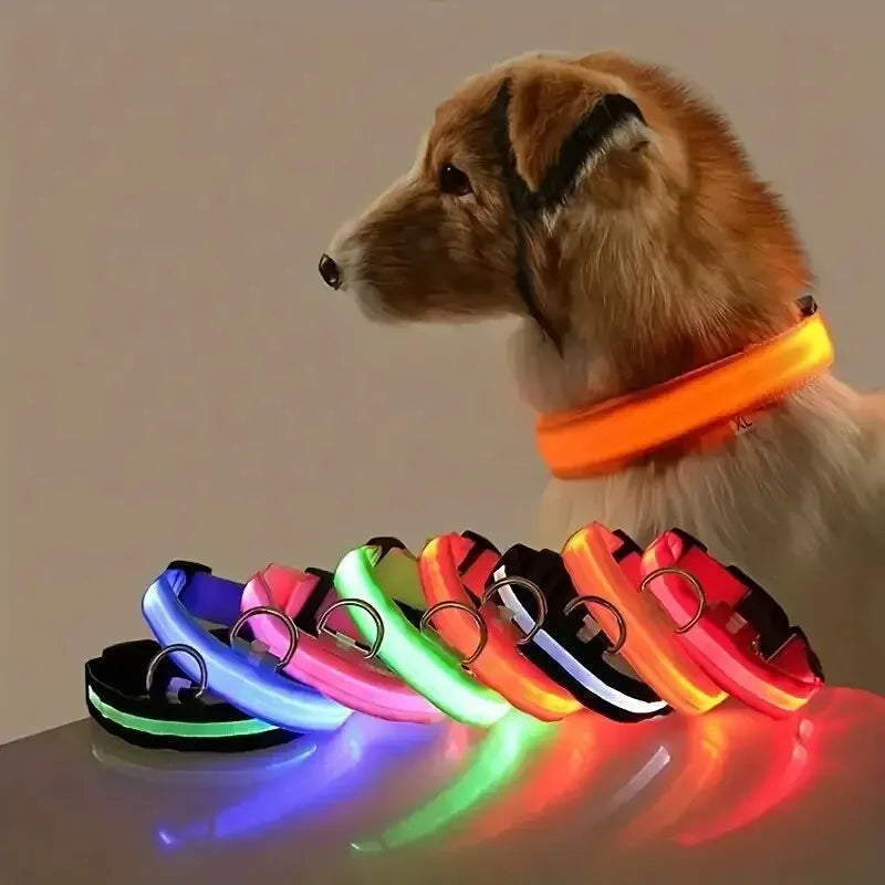 LumiStride™ Illuminated Pet Leash & Collar Set – Luxury Nylon LED Night Safety Duo