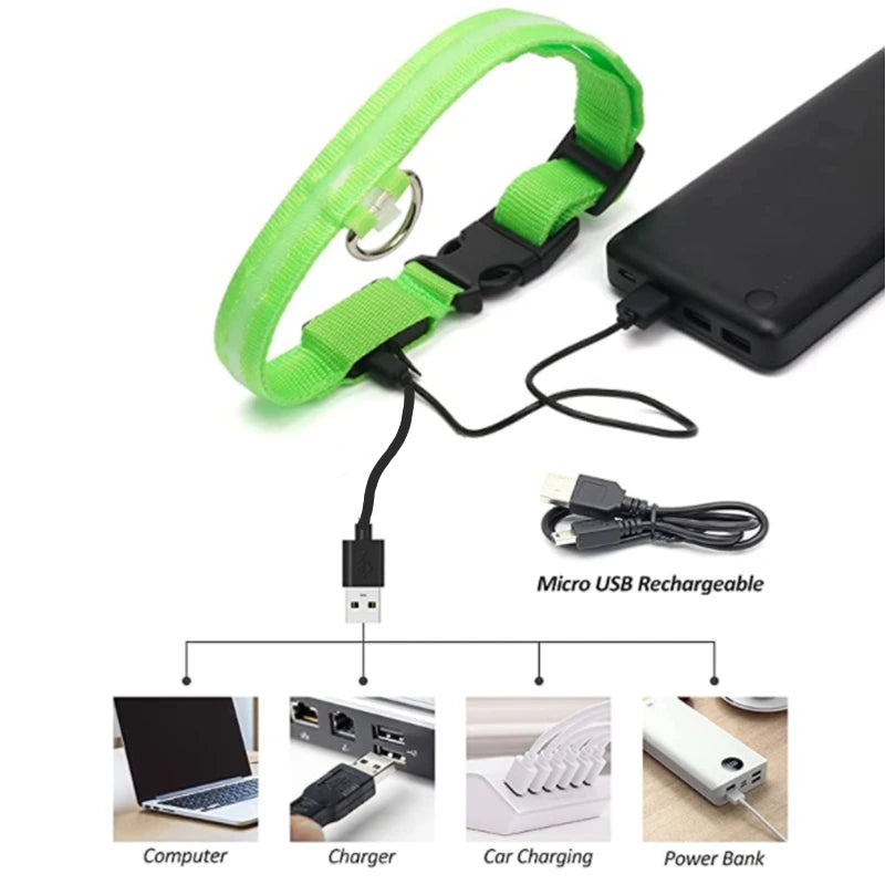 LumiPaw™ Luxe LED Pet Collar – USB Rechargeable, Adjustable & Radiantly Safe