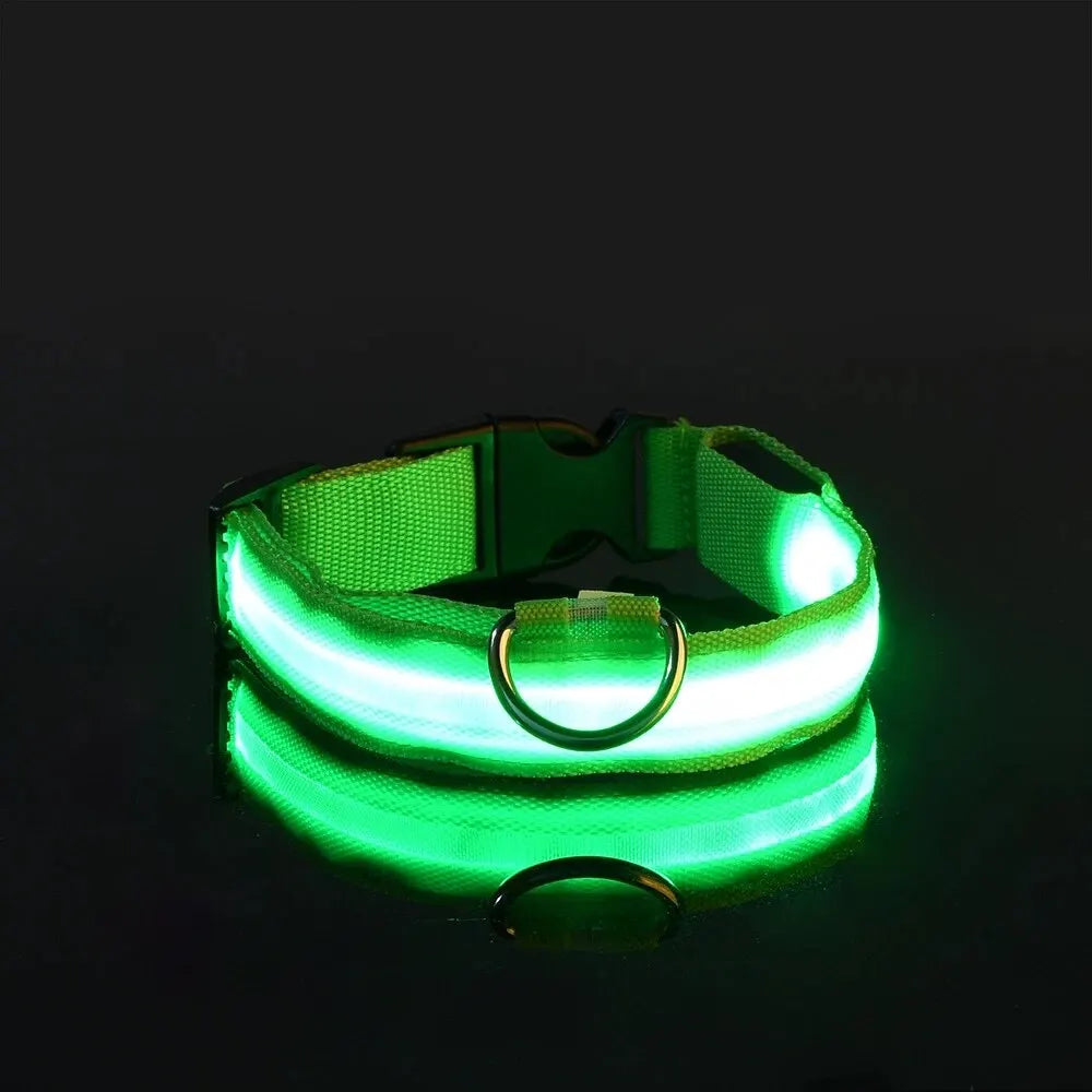 LumiStride™ Illuminated Pet Leash & Collar Set – Luxury Nylon LED Night Safety Duo