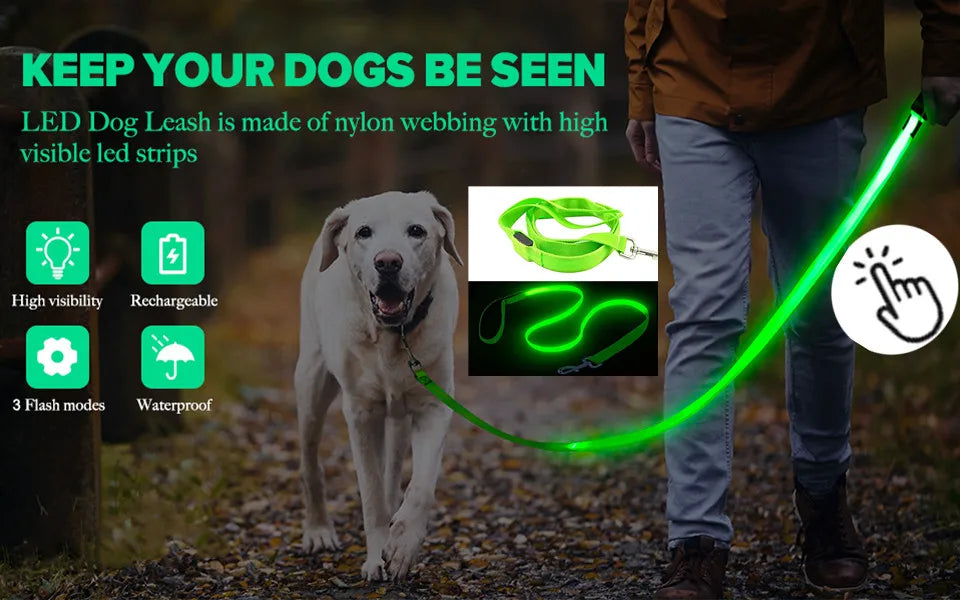 LumiPaw™ Luxe LED Pet Collar – USB Rechargeable, Adjustable & Radiantly Safe