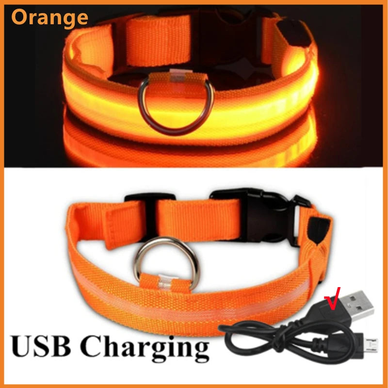 LumiPaw™ Luxe LED Pet Collar – USB Rechargeable, Adjustable & Radiantly Safe