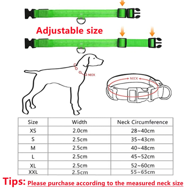 LumiPaw™ Luxe LED Pet Collar – USB Rechargeable, Adjustable & Radiantly Safe