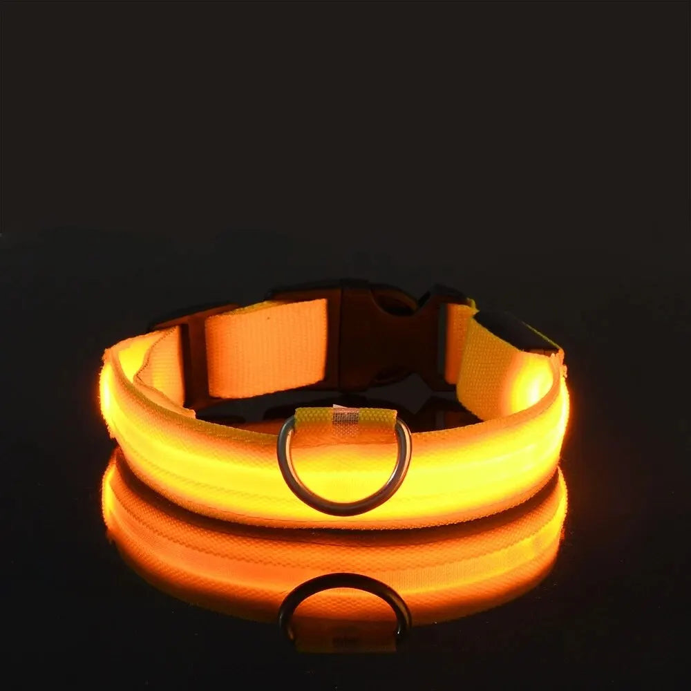 LumiStride™ Illuminated Pet Leash & Collar Set – Luxury Nylon LED Night Safety Duo