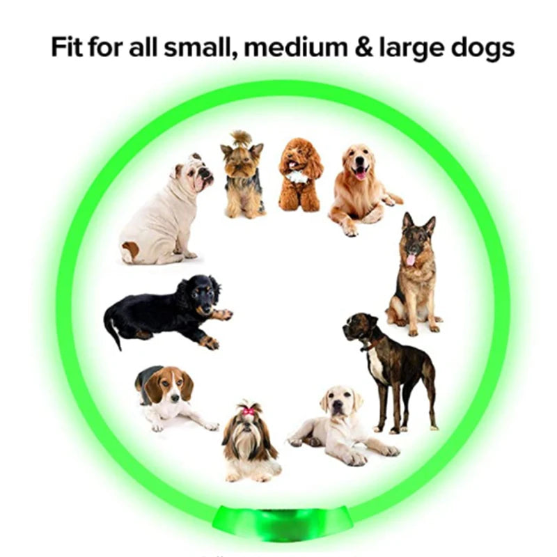 LumiPaw™ Luxe LED Pet Collar – USB Rechargeable, Adjustable & Radiantly Safe