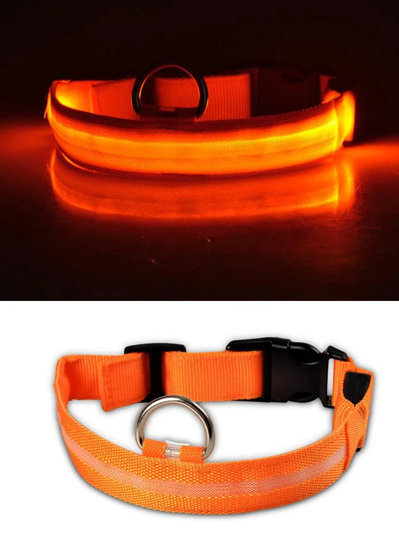 LumiPet™ LED Nylon Dog Collar &amp; Leash Set – Elegant Glow-in-the-Dark Safety for Night Walks
