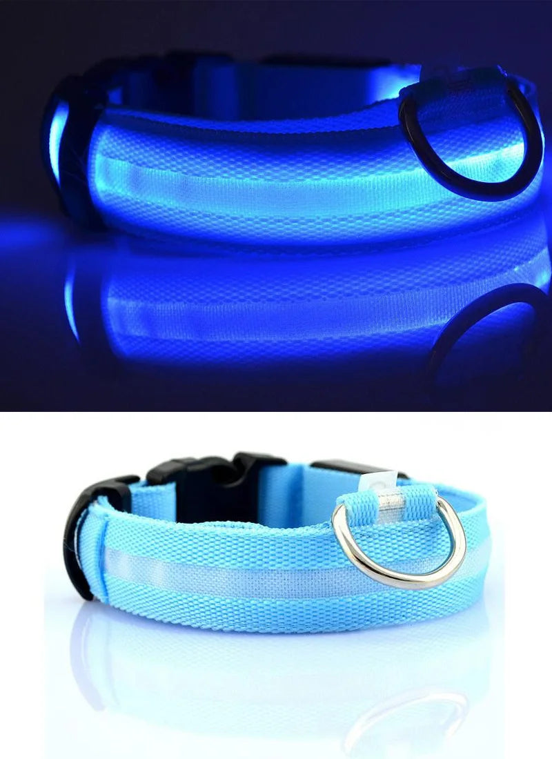 LumiPet™ LED Nylon Dog Collar &amp; Leash Set – Elegant Glow-in-the-Dark Safety for Night Walks