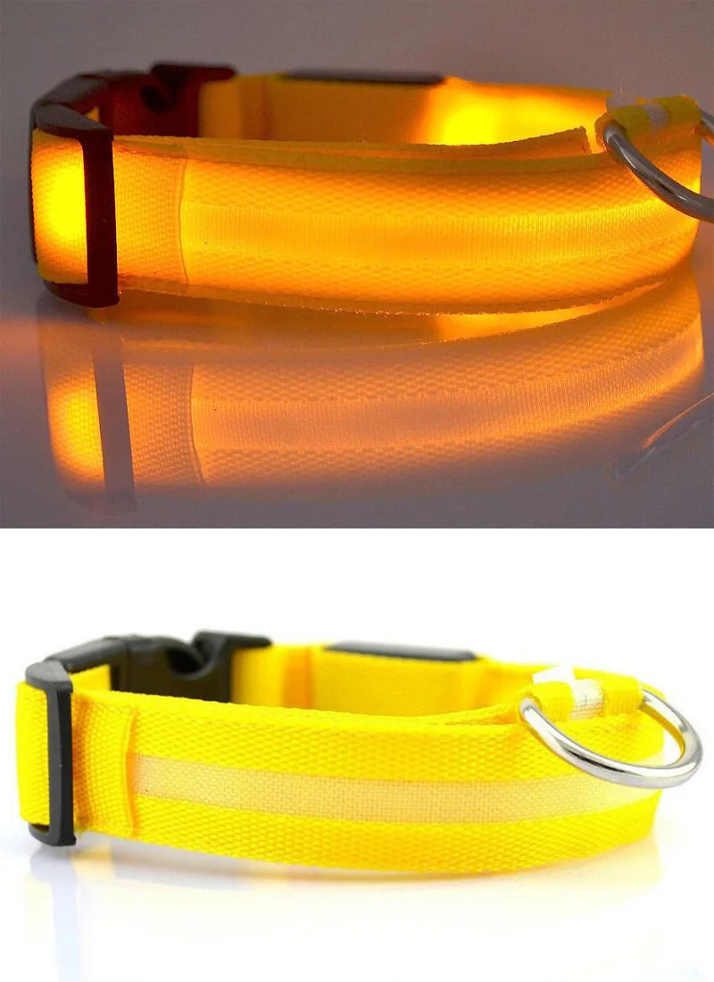 LumiPet™ LED Nylon Dog Collar &amp; Leash Set – Elegant Glow-in-the-Dark Safety for Night Walks