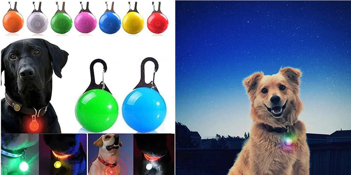 LumiPaw™ Luxe LED Pet Collar – USB Rechargeable, Adjustable &amp; Radiantly Safe