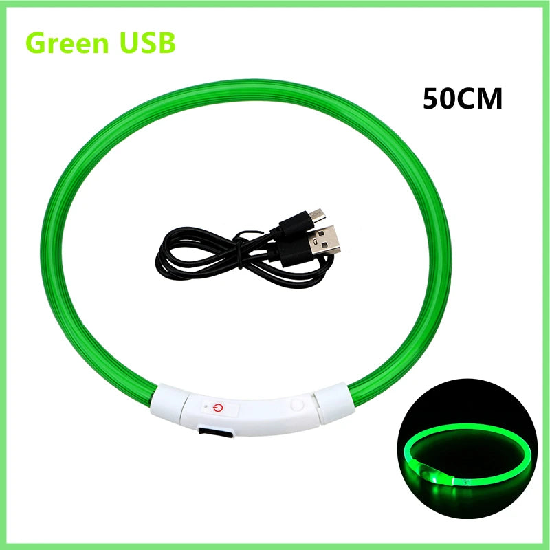 LumiPaw™ Luxe LED Pet Collar – USB Rechargeable, Adjustable &amp; Radiantly Safe