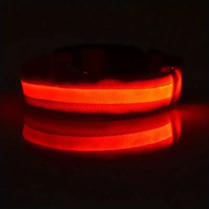 LumiStride™ Illuminated Pet Leash &amp; Collar Set – Luxury Nylon LED Night Safety Duo