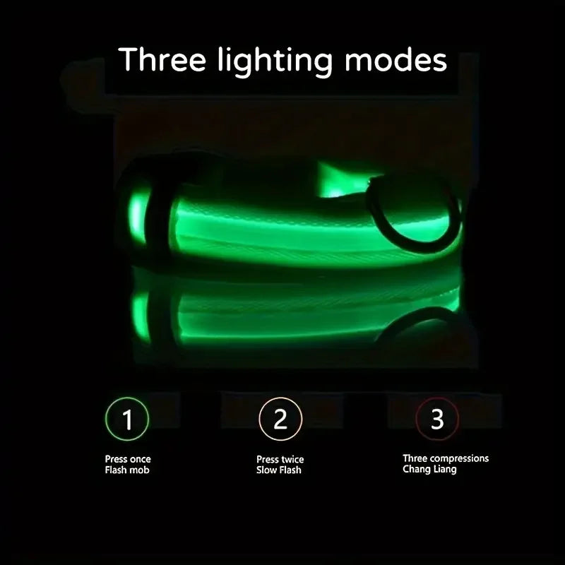 LumiStride™ Illuminated Pet Leash &amp; Collar Set – Luxury Nylon LED Night Safety Duo