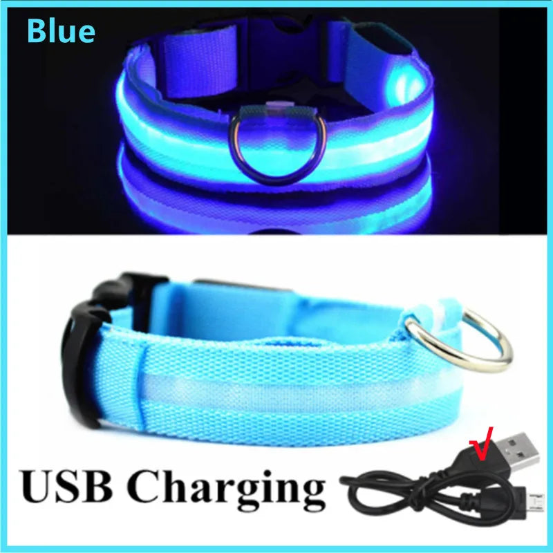 LumiPaw™ Luxe LED Pet Collar – USB Rechargeable, Adjustable &amp; Radiantly Safe