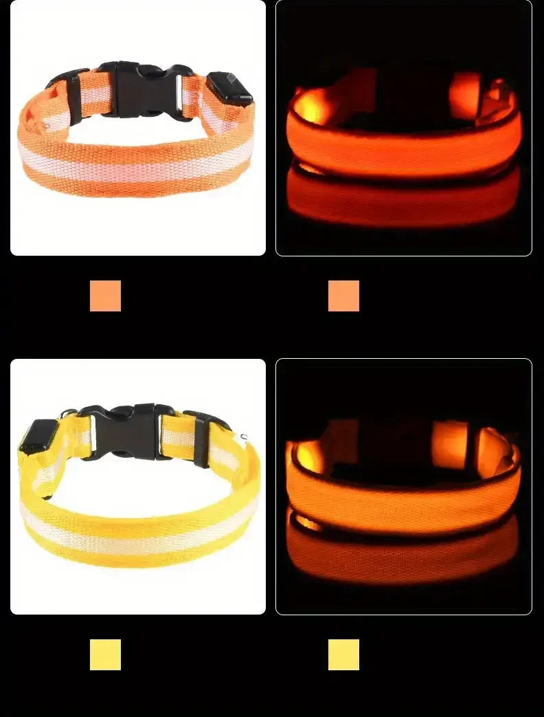 LumiStride™ Illuminated Pet Leash &amp; Collar Set – Luxury Nylon LED Night Safety Duo