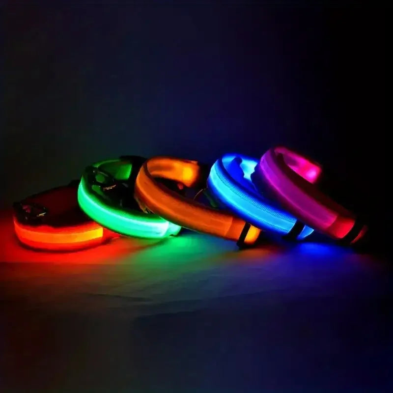 LumiStride™ Illuminated Pet Leash &amp; Collar Set – Luxury Nylon LED Night Safety Duo