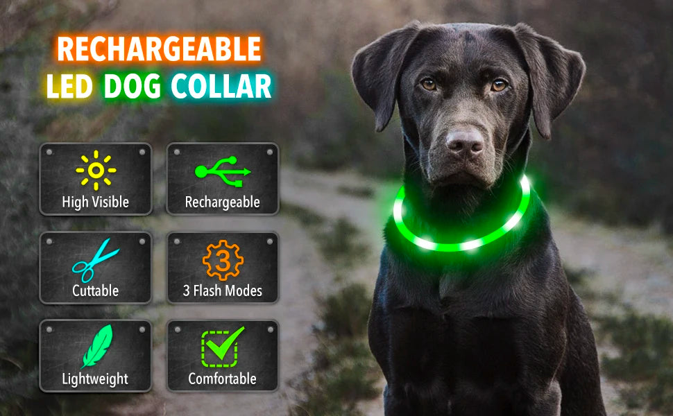 LumiPaw™ Luxe LED Pet Collar – USB Rechargeable, Adjustable &amp; Radiantly Safe