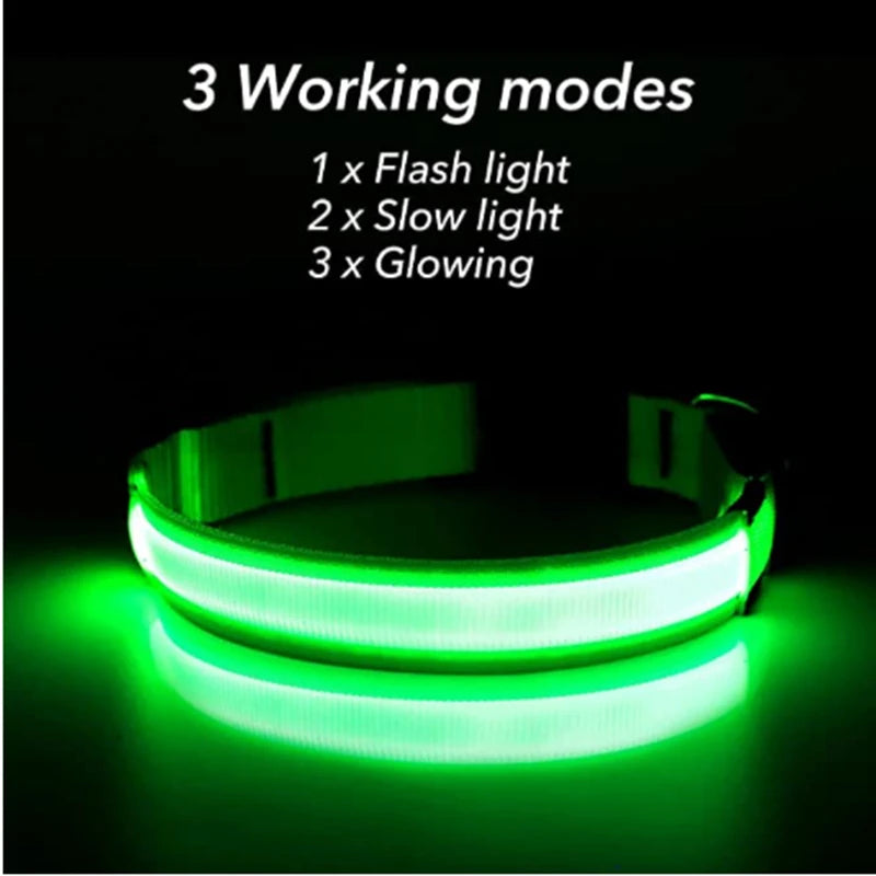 LumiPaw™ Luxe LED Pet Collar – USB Rechargeable, Adjustable &amp; Radiantly Safe