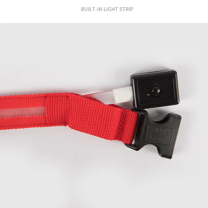 LumiPaw™ Luxe LED Pet Collar – USB Rechargeable, Adjustable &amp; Radiantly Safe