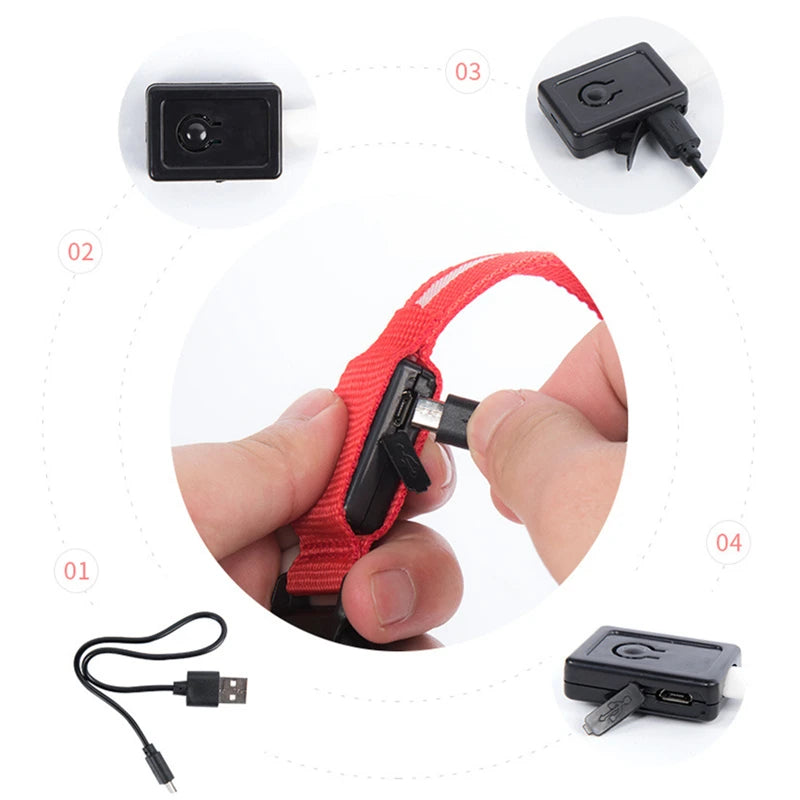 LumiPaw™ Luxe LED Pet Collar – USB Rechargeable, Adjustable &amp; Radiantly Safe