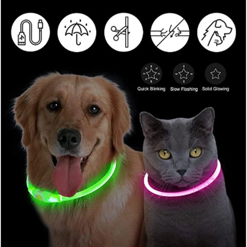 LumiPaw™ Luxe LED Pet Collar – USB Rechargeable, Adjustable &amp; Radiantly Safe