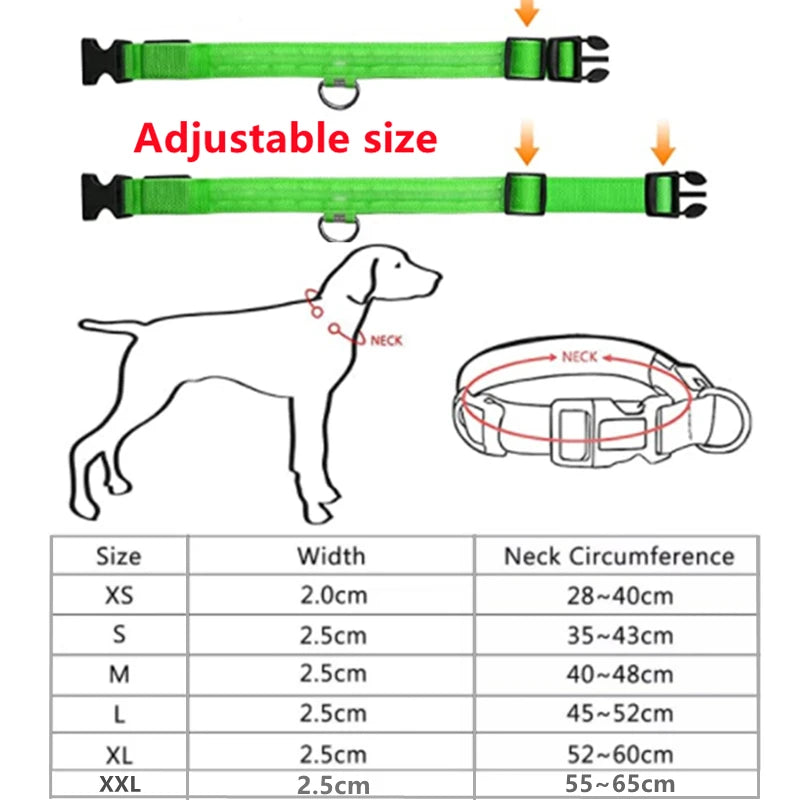 LumiPaw™ Luxe LED Pet Collar – USB Rechargeable, Adjustable &amp; Radiantly Safe