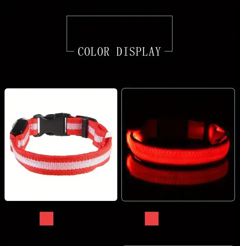 LumiStride™ Illuminated Pet Leash &amp; Collar Set – Luxury Nylon LED Night Safety Duo