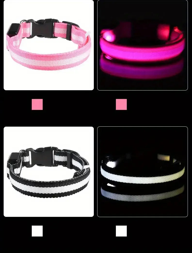 LumiStride™ Illuminated Pet Leash &amp; Collar Set – Luxury Nylon LED Night Safety Duo