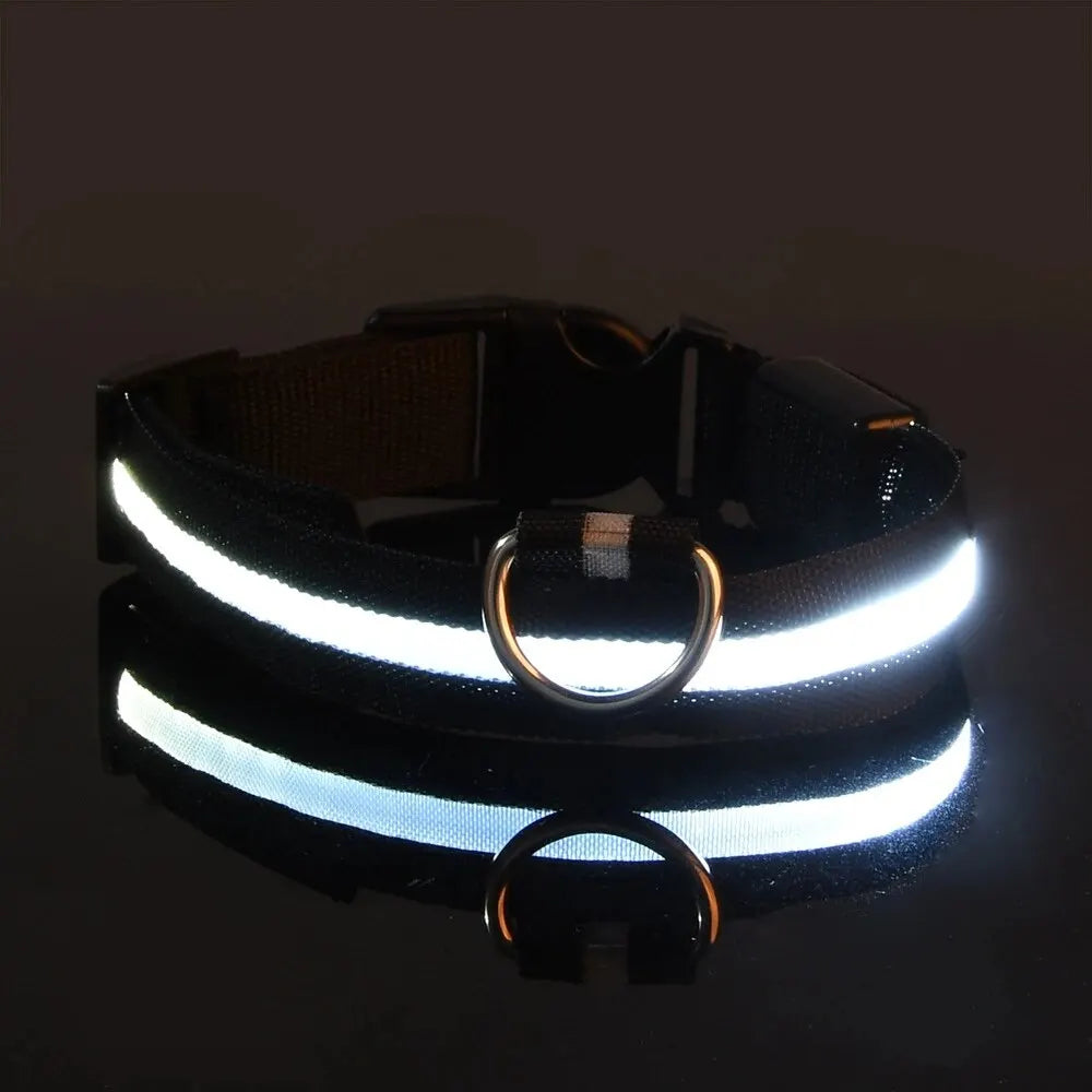 LumiStride™ Illuminated Pet Leash &amp; Collar Set – Luxury Nylon LED Night Safety Duo