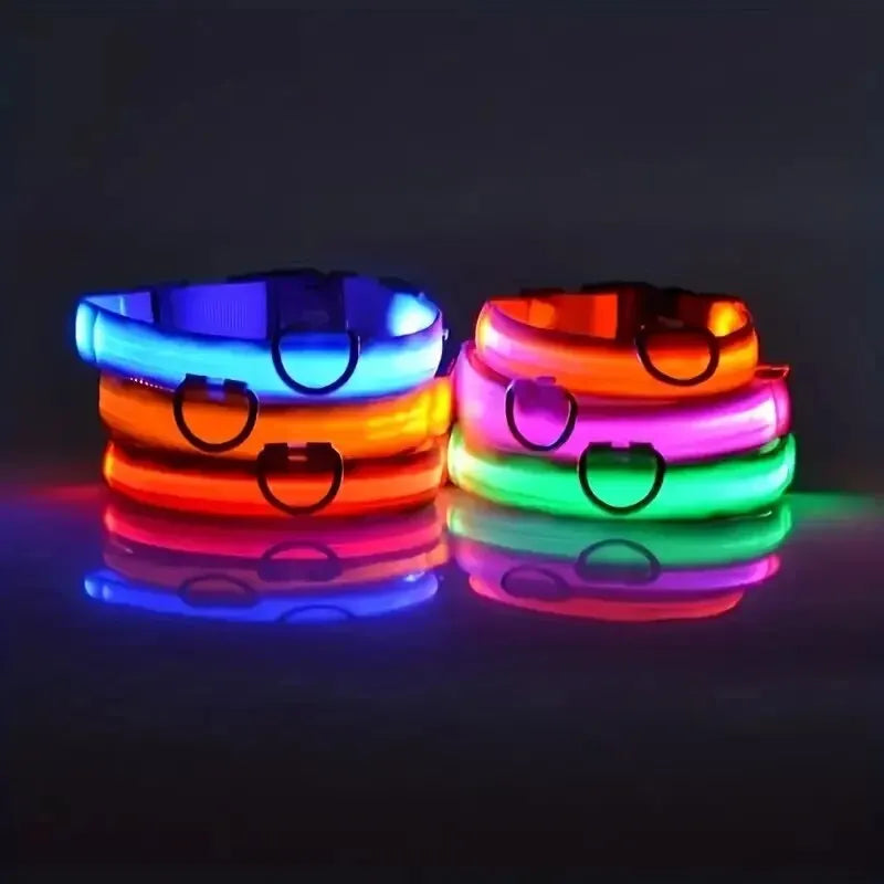 LumiStride™ Illuminated Pet Leash &amp; Collar Set – Luxury Nylon LED Night Safety Duo