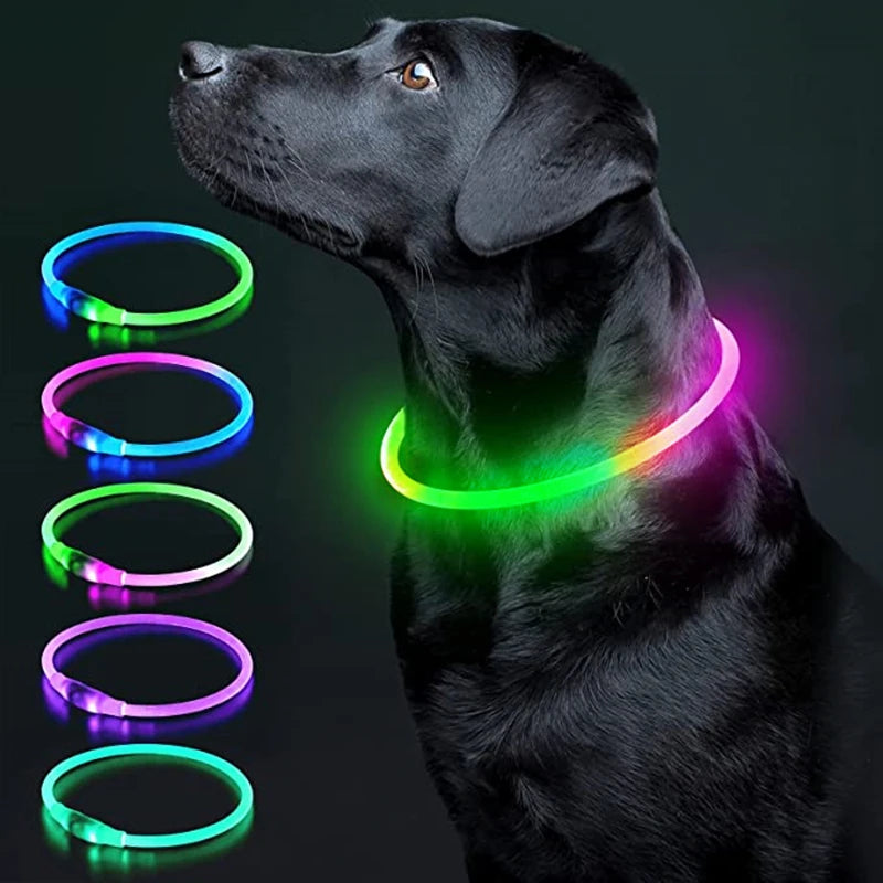 LumiPaw™ Luxe LED Pet Collar – USB Rechargeable, Adjustable &amp; Radiantly Safe
