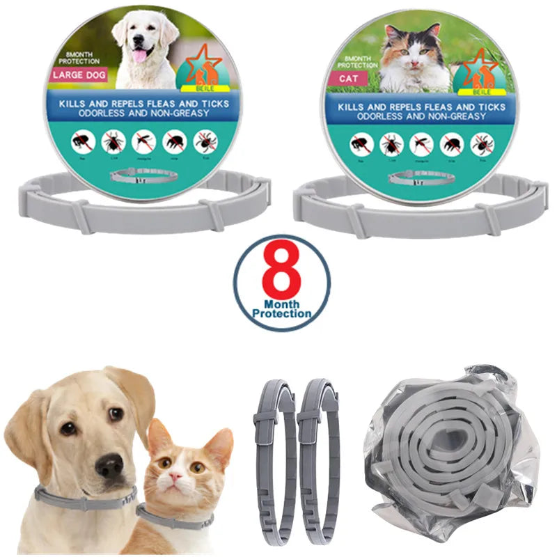 LumiPaw™ Luxe LED Pet Collar – USB Rechargeable, Adjustable &amp; Radiantly Safe