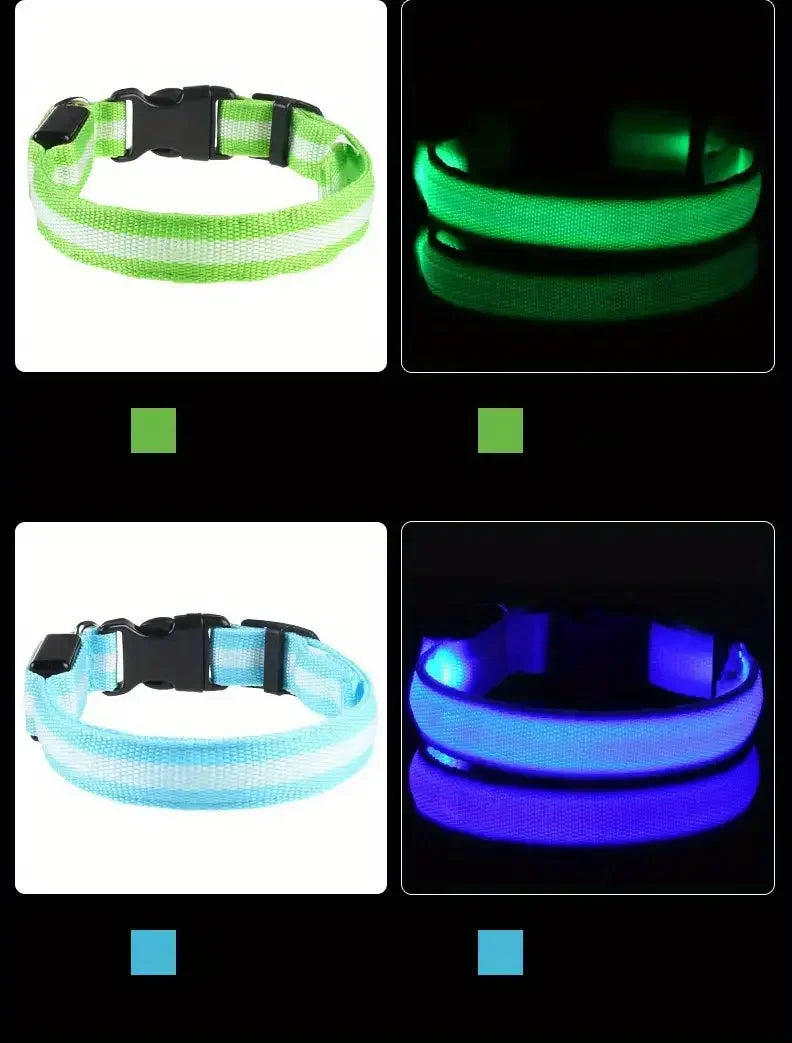 LumiStride™ Illuminated Pet Leash &amp; Collar Set – Luxury Nylon LED Night Safety Duo