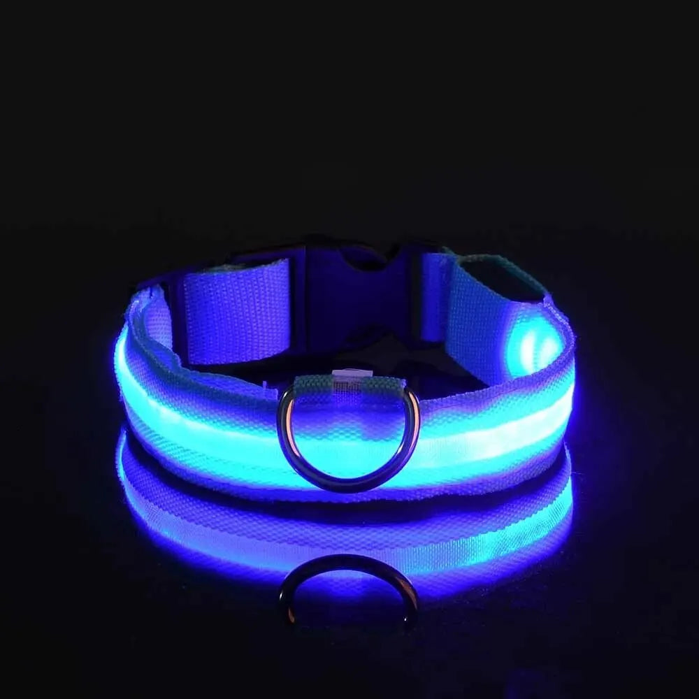 LumiStride™ Illuminated Pet Leash &amp; Collar Set – Luxury Nylon LED Night Safety Duo