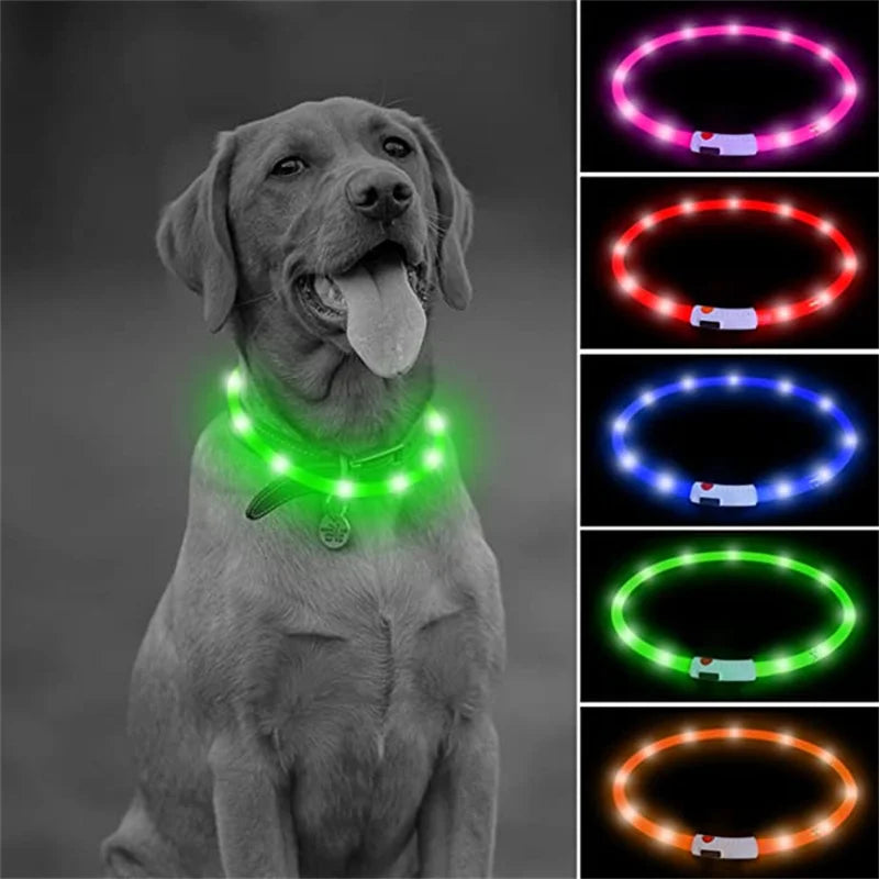 LumiPaw™ Luxe LED Pet Collar – USB Rechargeable, Adjustable &amp; Radiantly Safe