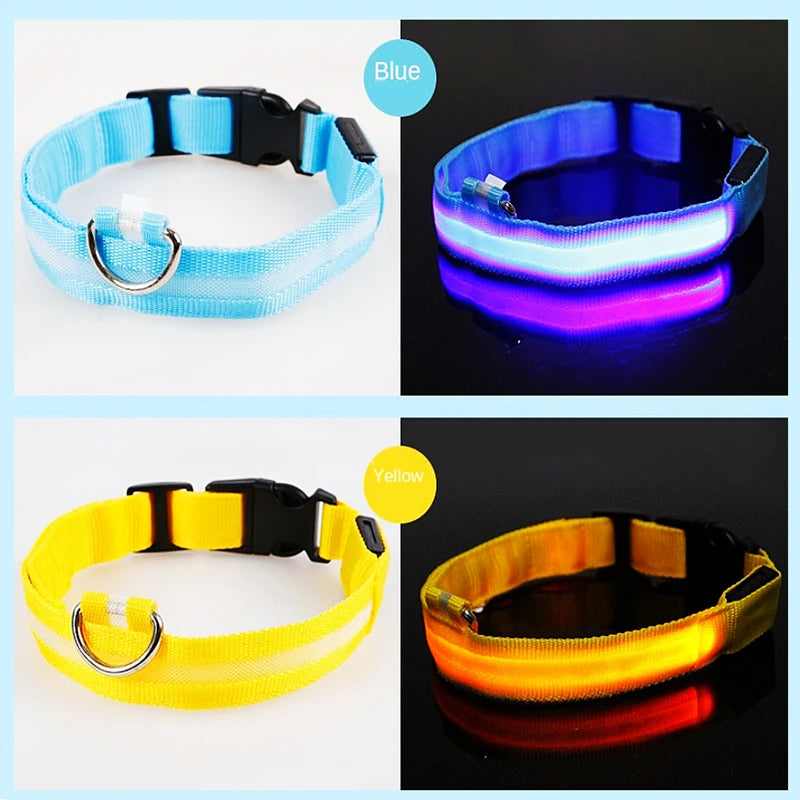 LumiPaw™ Luxe LED Pet Collar – USB Rechargeable, Adjustable &amp; Radiantly Safe