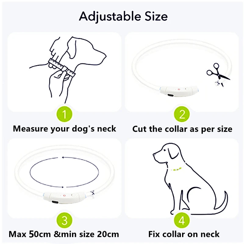 LumiPaw™ Luxe LED Pet Collar – USB Rechargeable, Adjustable &amp; Radiantly Safe