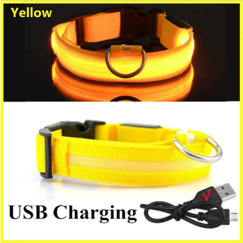 LumiPaw™ Luxe LED Pet Collar – USB Rechargeable, Adjustable &amp; Radiantly Safe