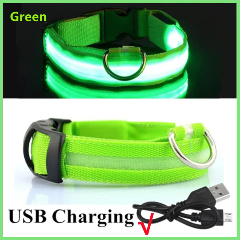 LumiPaw™ Luxe LED Pet Collar – USB Rechargeable, Adjustable &amp; Radiantly Safe