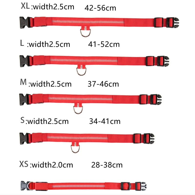 LumiPaw™ Luxe LED Pet Collar – USB Rechargeable, Adjustable &amp; Radiantly Safe