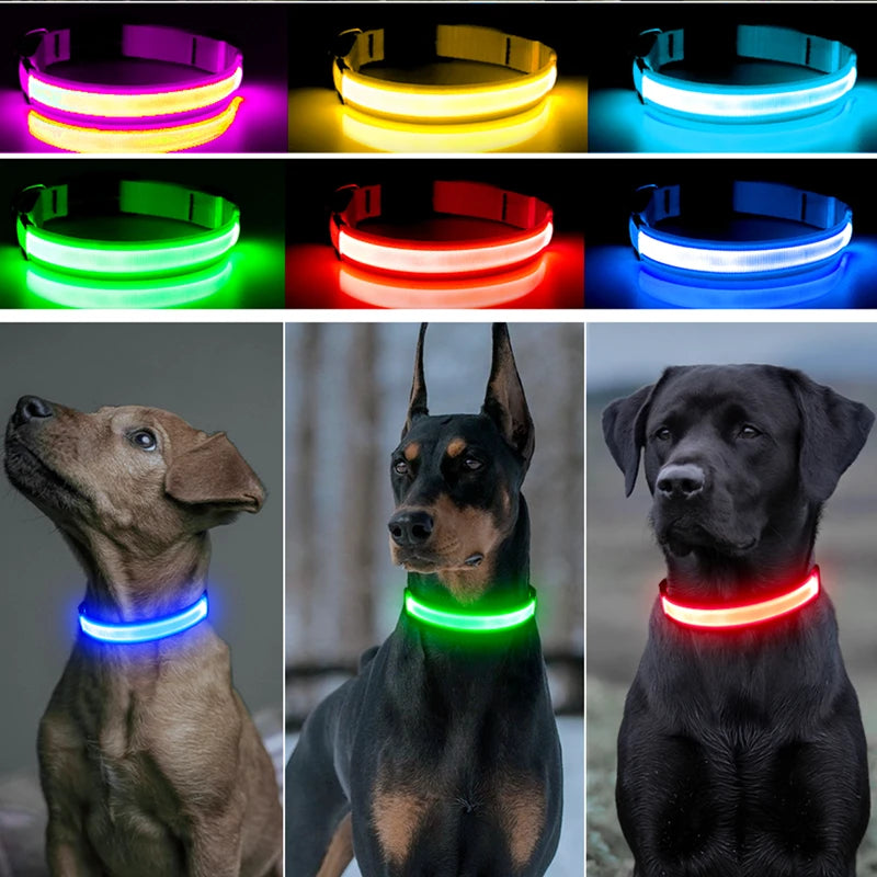 LumiPaw™ Luxe LED Pet Collar – USB Rechargeable, Adjustable &amp; Radiantly Safe