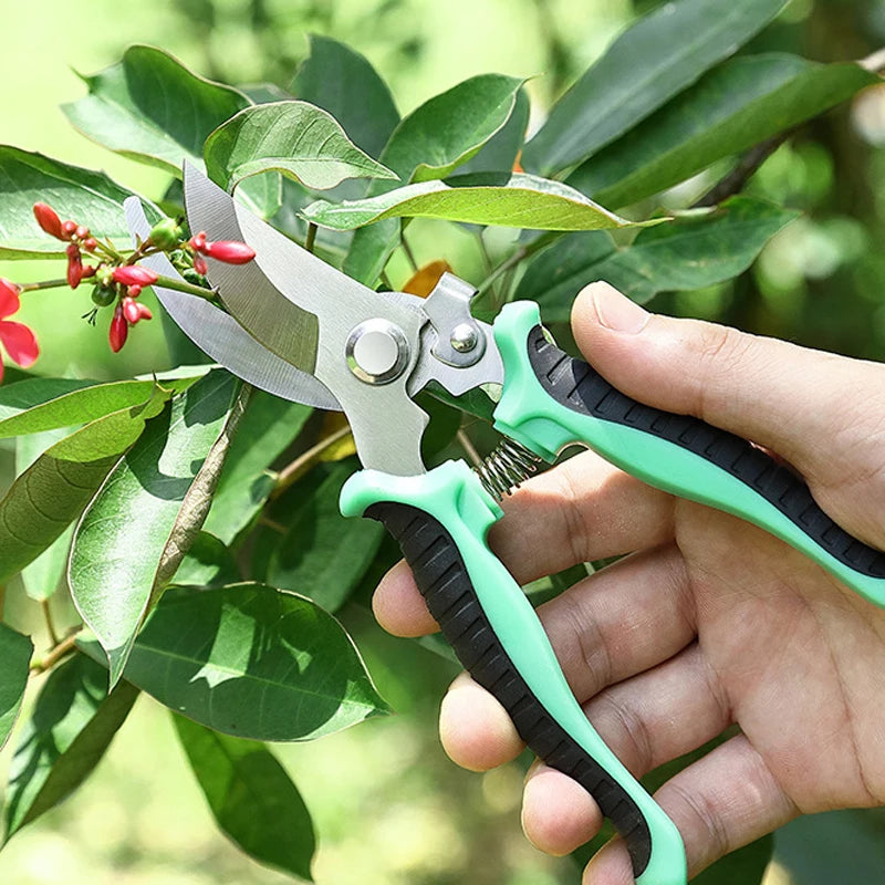 Garden Scissors for Bonsai Professional Pruning Trees Orchard Grape Branches Gadgets Agricultural Farm Hand Tools Floral Pruner